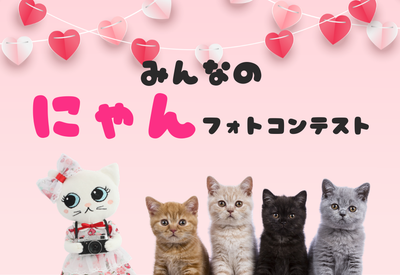 ninonyanうちの子自慢フォトフレームコンテスト